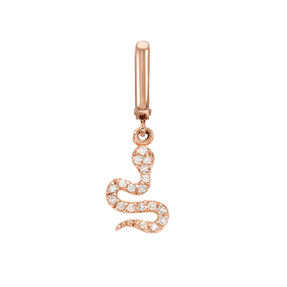 Liven Co Lucky Clover Clip Charm